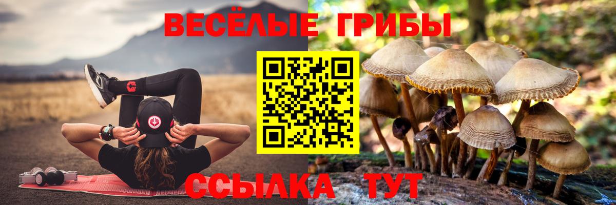 Галлюциногенные грибы Psilocybe  Вход с VPN  Галлюциногенные грибы прущие грибы  Лысьва 